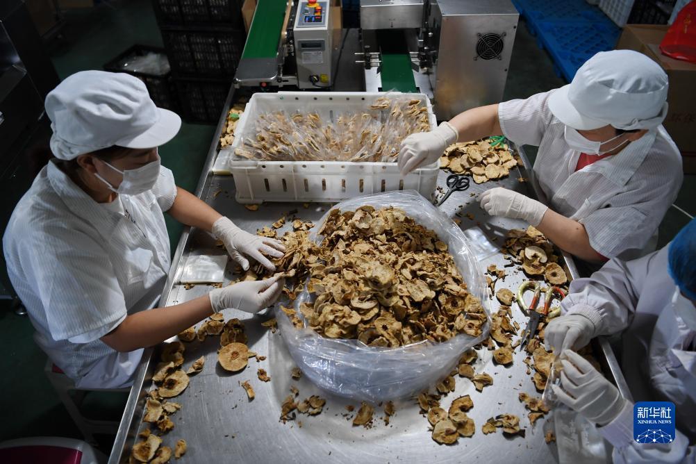 问鼎平台注册下载